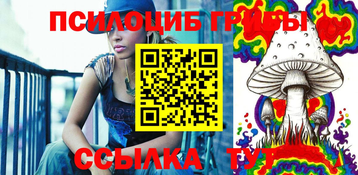 сколько стоит  Вход с VPN  Звенигород  Псилоцибиновые грибы мицелий 