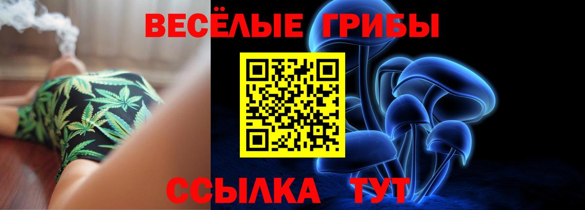 Псилоцибиновые грибы Magic Shrooms Звенигород